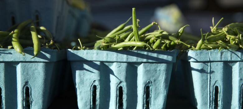 14 Foods to Reset Your Digestive System