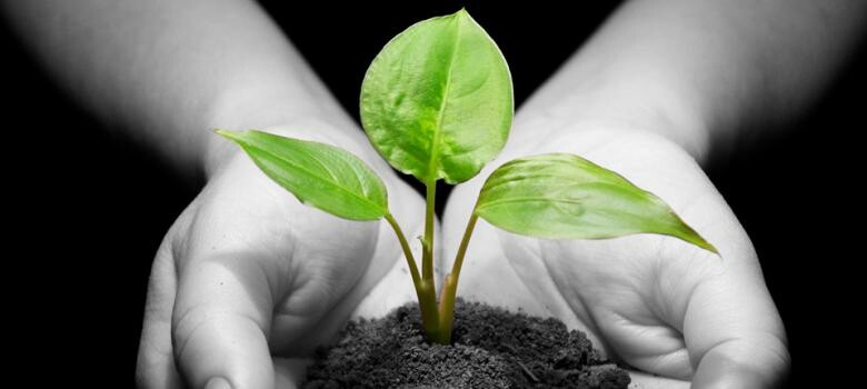 Becoming a Living Donor