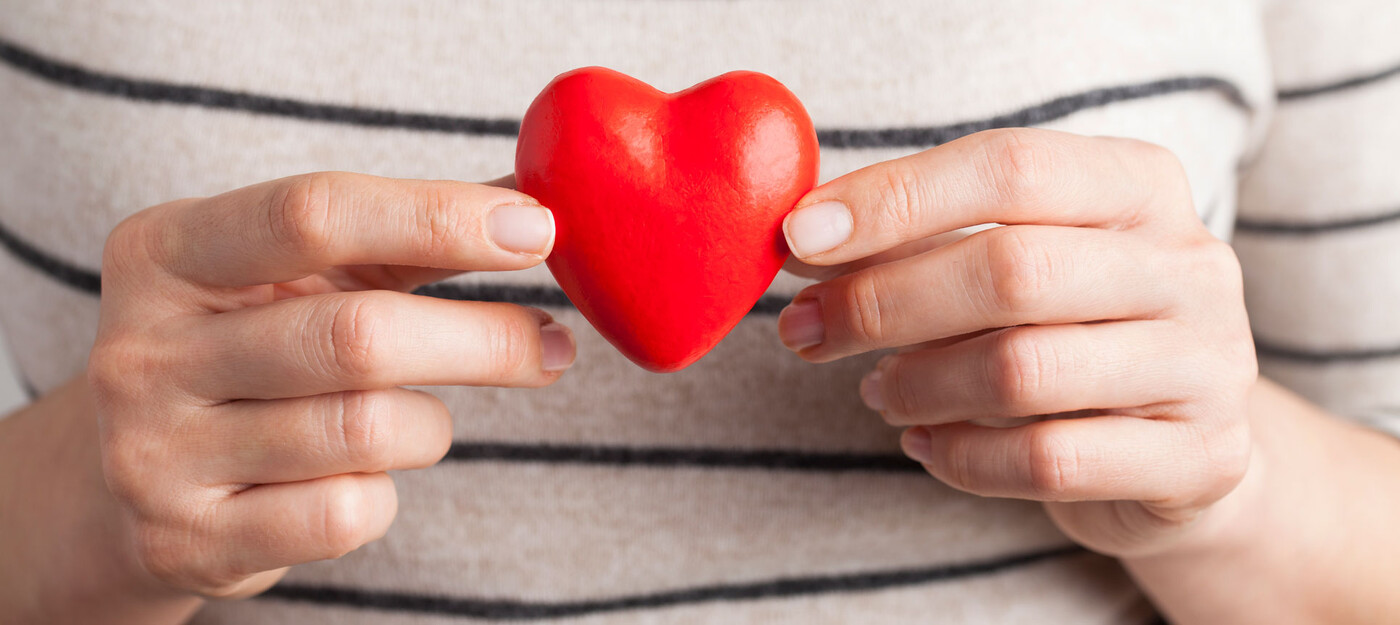 A person holds up a plastic heart