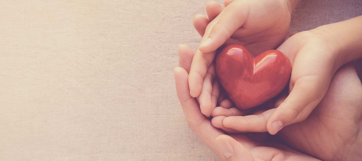 Hands holding a plastic heart