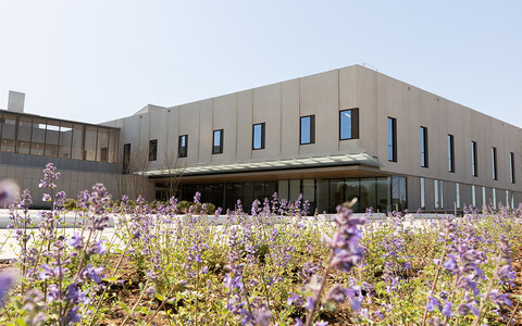 Duke Electroconvulsive Therapy Clinic